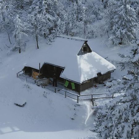 Chalet Pehta Velika Planina Vila Stahovica Exterior foto