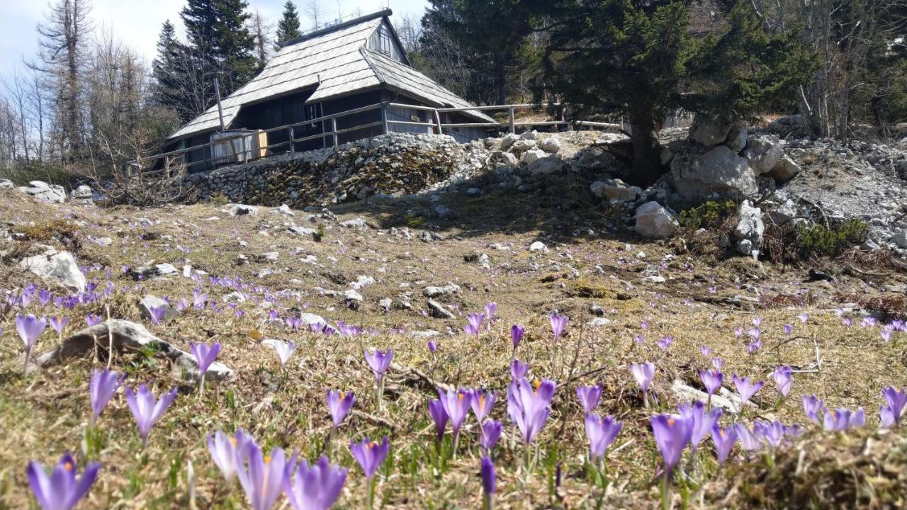 Chalet Pehta Velika Planina Vila Stahovica Exterior foto