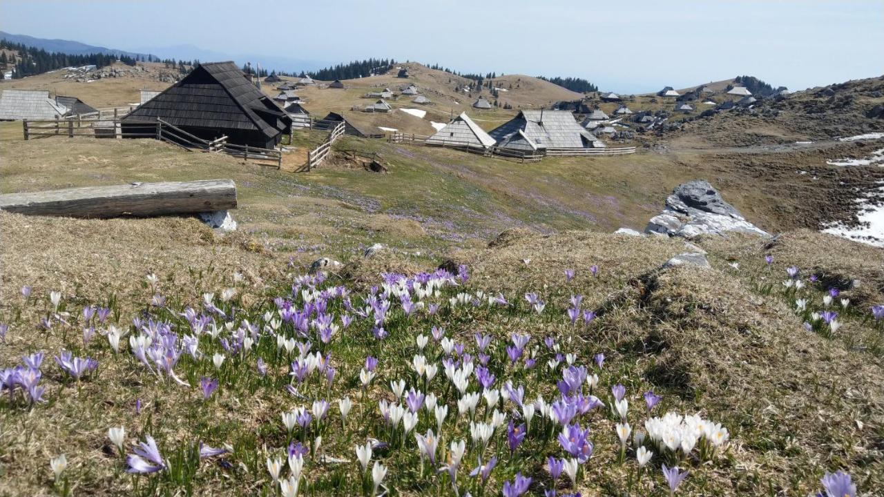 Chalet Pehta Velika Planina Vila Stahovica Exterior foto