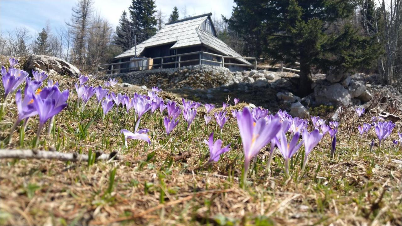 Chalet Pehta Velika Planina Vila Stahovica Exterior foto