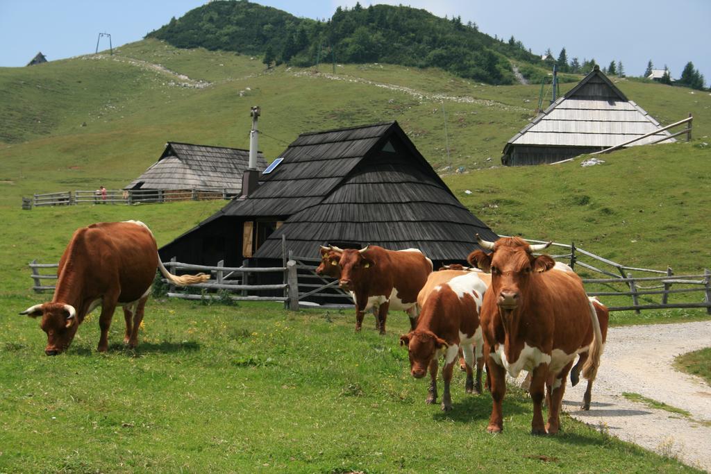 Chalet Pehta Velika Planina Vila Stahovica Quarto foto