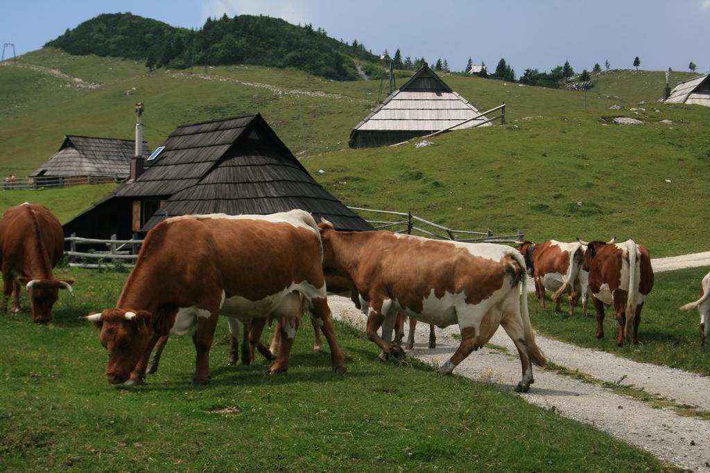 Chalet Pehta Velika Planina Vila Stahovica Quarto foto