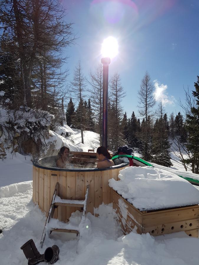 Chalet Pehta Velika Planina Vila Stahovica Exterior foto